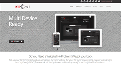 Desktop Screenshot of netcogs.com